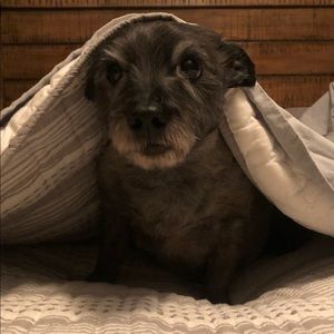 Meet your Posher, Christy